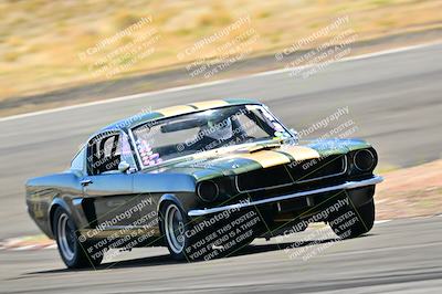 media/Mar-23-2025-West Coast Racing (Sun) [[de161b708f]]/Yellow Group/Session 3 (Turns 3 and 5)/